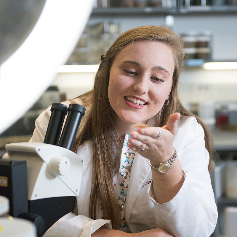 Adrienne Ingram observing in the lab
