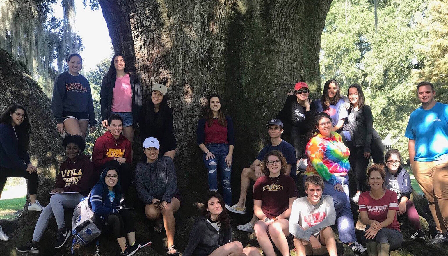 Group of foundations students by tree