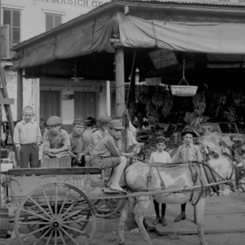 cover of creole italian book